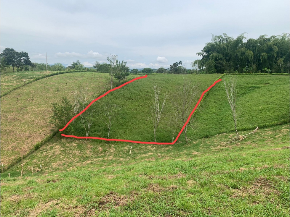 VENDO Lote residencial, parcelación tierra bella, Quindío — foto 3