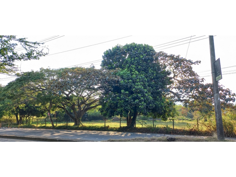 VENDO LOTE COMERCIAL, PANCE, SUR, CALI, VALLE — foto 5