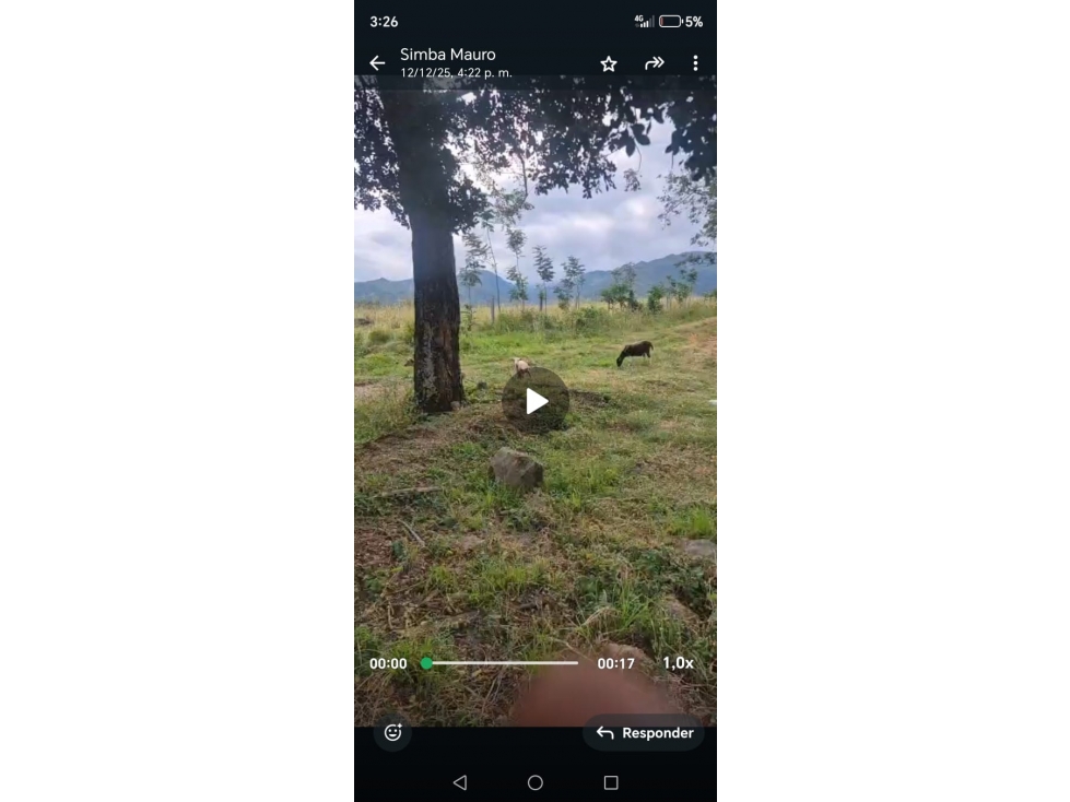 venta de finca en el salado, ibague - 3