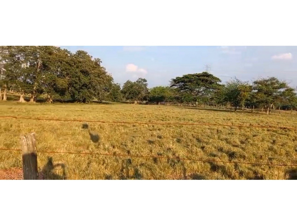VENDO LOTE CAÑAS GORDAS sur cali valle