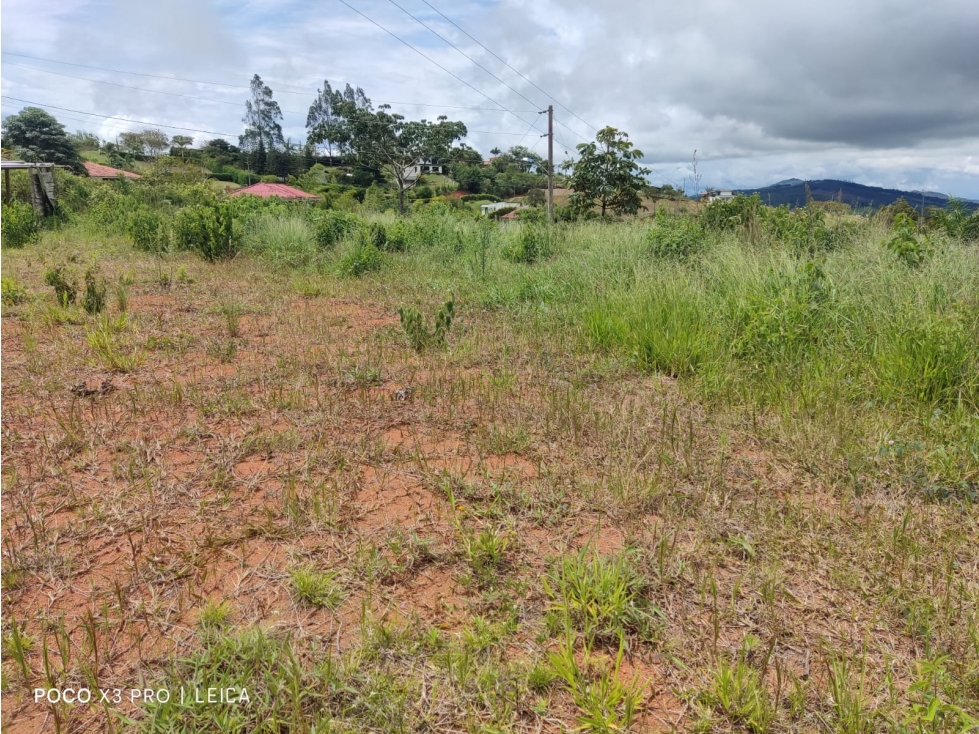 VENDO LOTE, Lago Calima, Bosques de Calima - 5