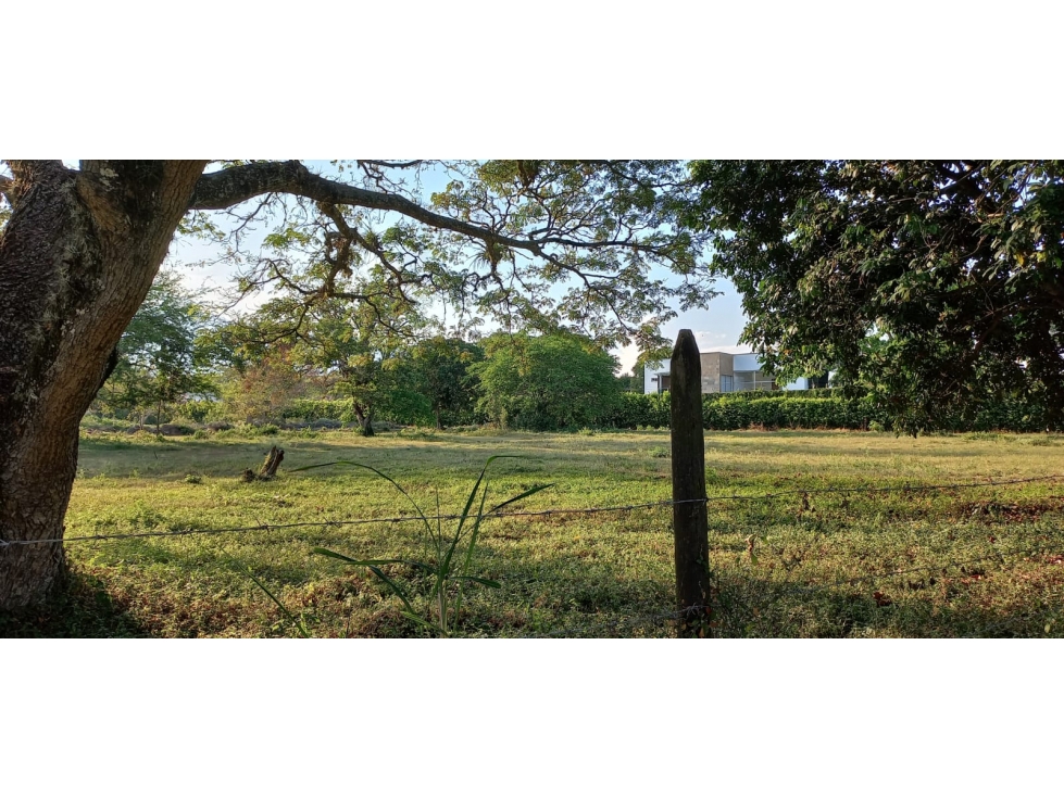 VENDO LOTE COMERCIAL, PANCE, SUR, CALI, VALLE — foto 4