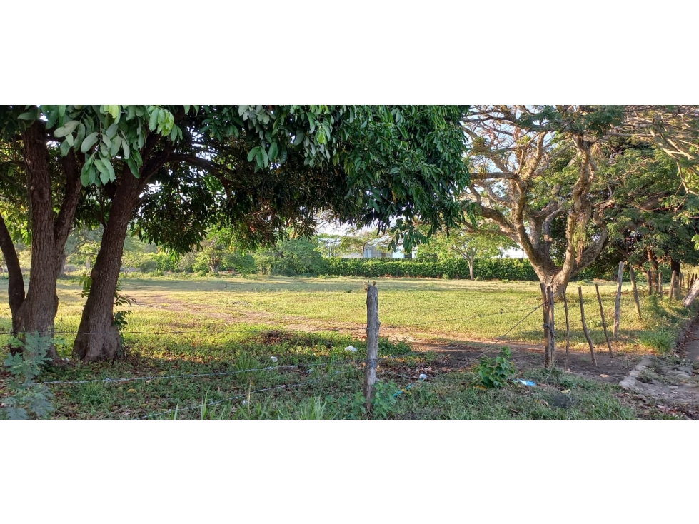 VENDO LOTE COMERCIAL, PANCE, SUR, CALI, VALLE — foto 6
