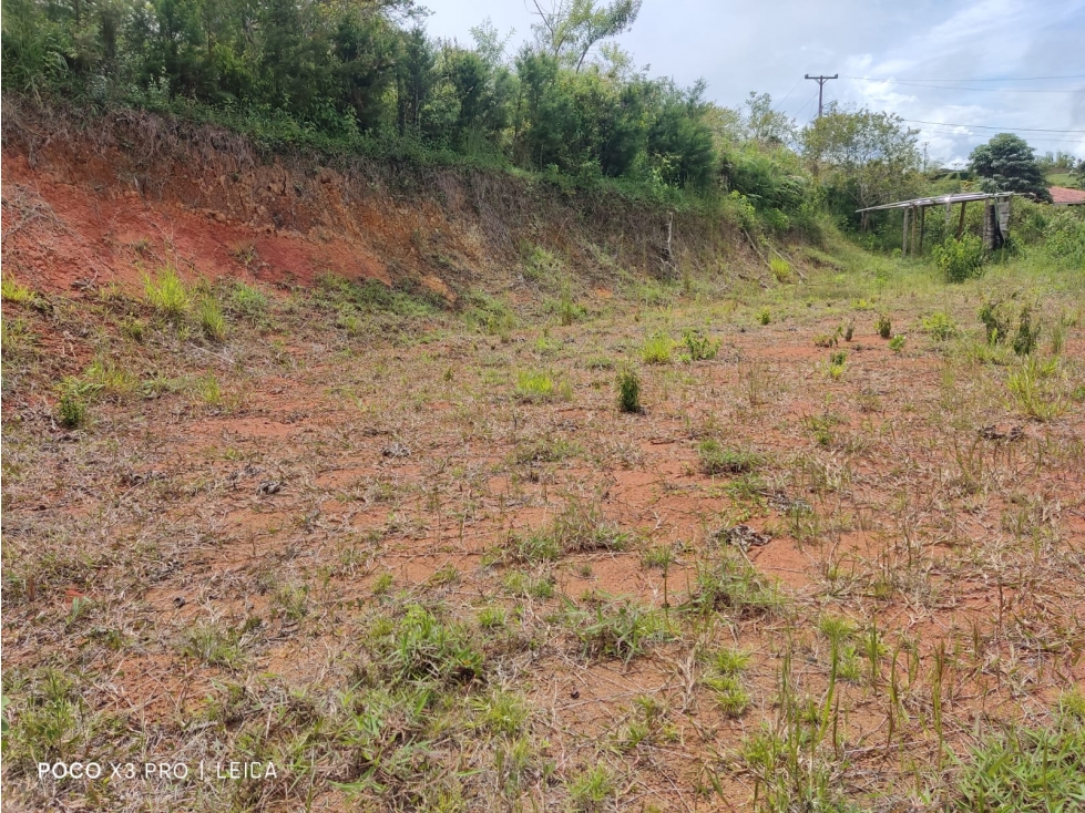 VENDO LOTE, Lago Calima, Bosques de Calima - 4