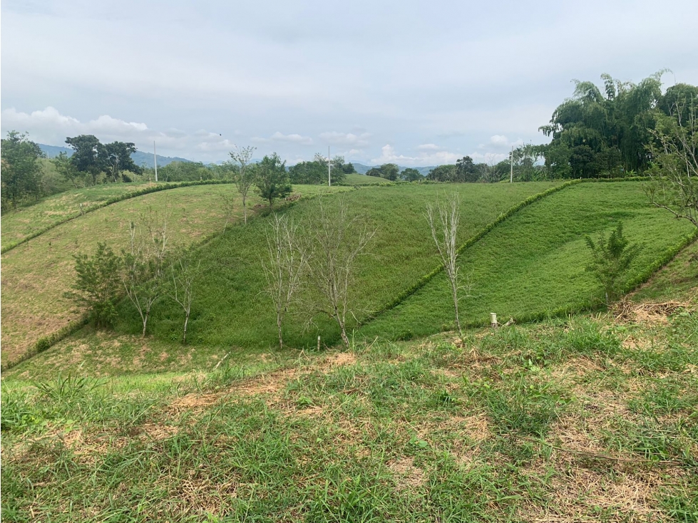 VENDO Lote residencial, parcelación tierra bella, Quindío — foto 4