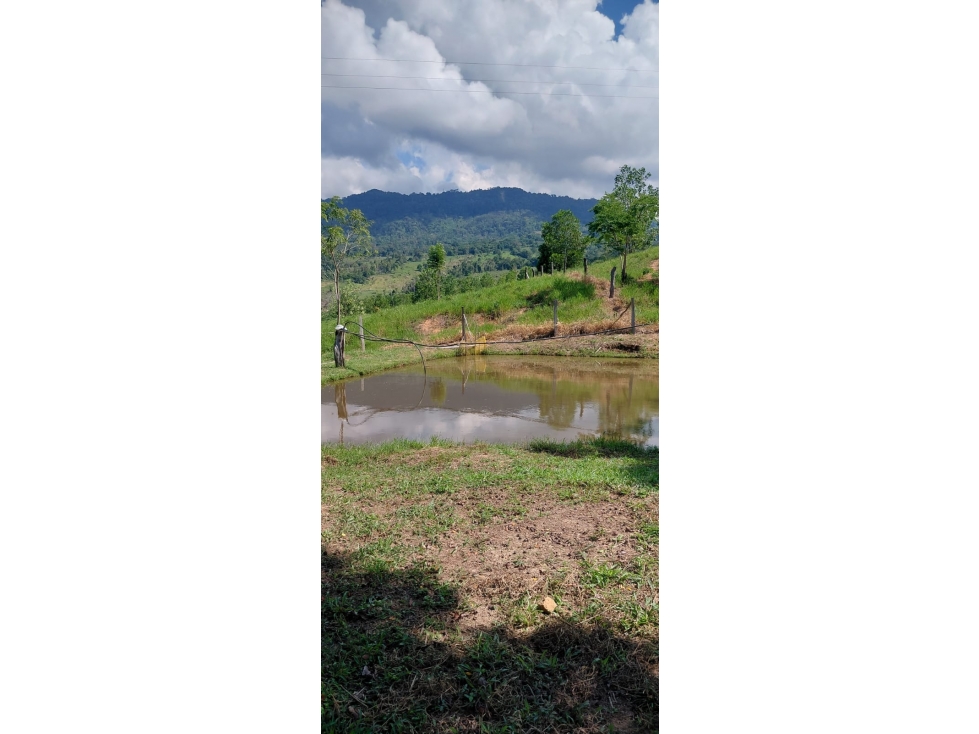 VENDO FINCA EN SAN VICENTE DE CHUCURI - 1