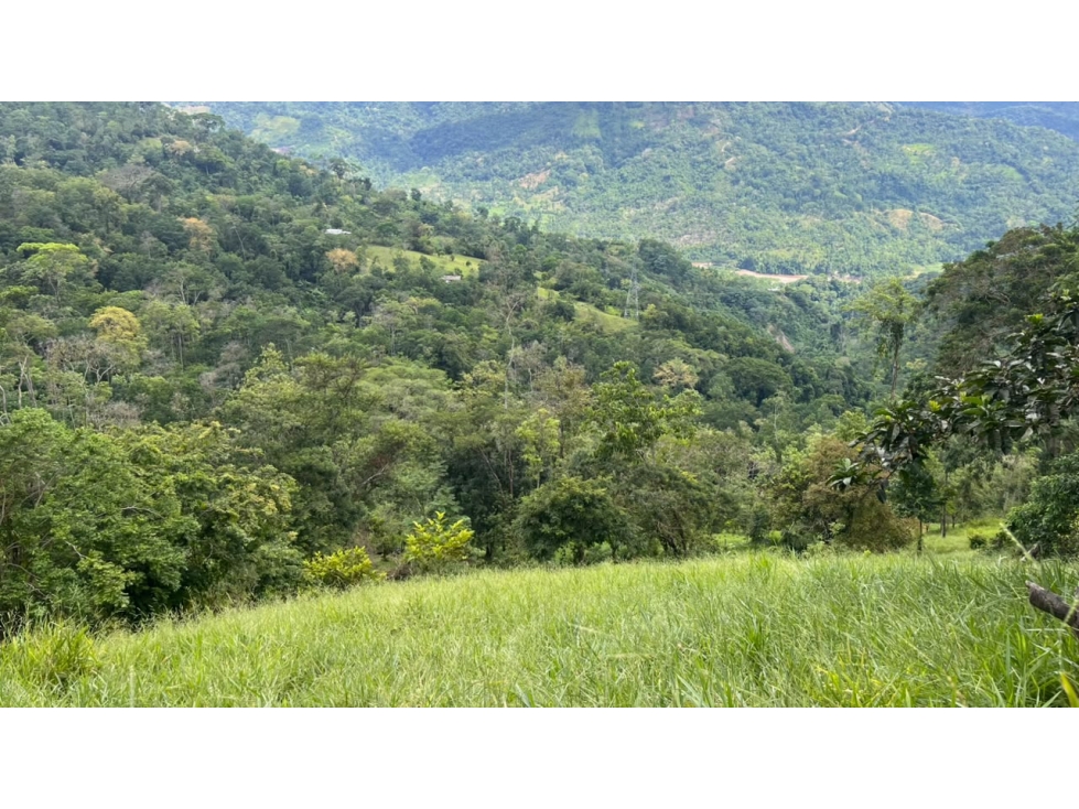 FINCA EN VENTA - SAN VICENTE DE CHUCURÍ VEREDA GUAYACAN LOS MEDIOS - 1