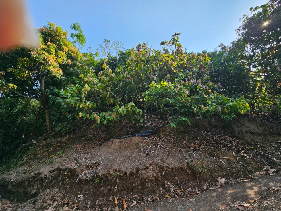 VENDO LOTE CON DOS CASAS EN SAN VICENTE DE CHUCURÍ - 2