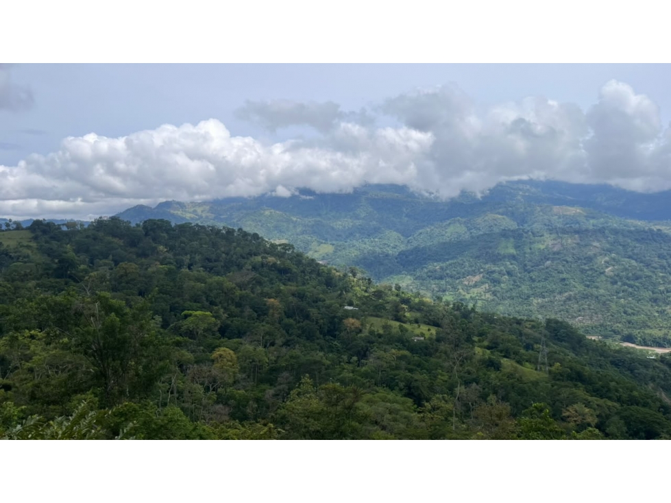 FINCA EN VENTA - SAN VICENTE DE CHUCURÍ VEREDA GUAYACAN LOS MEDIOS - 2