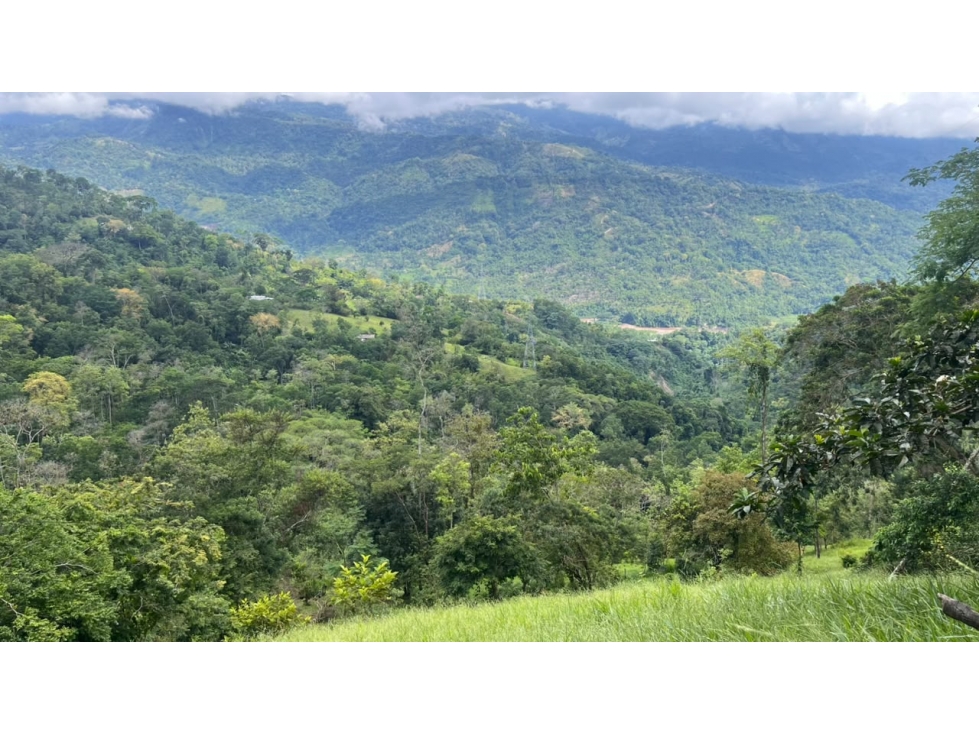 FINCA EN VENTA - SAN VICENTE DE CHUCURÍ VEREDA GUAYACAN LOS MEDIOS - 3