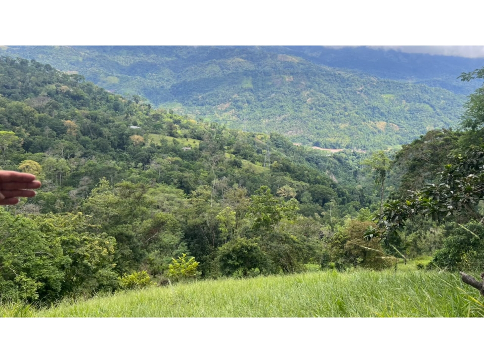 FINCA EN VENTA - SAN VICENTE DE CHUCURÍ VEREDA GUAYACAN LOS MEDIOS - 4