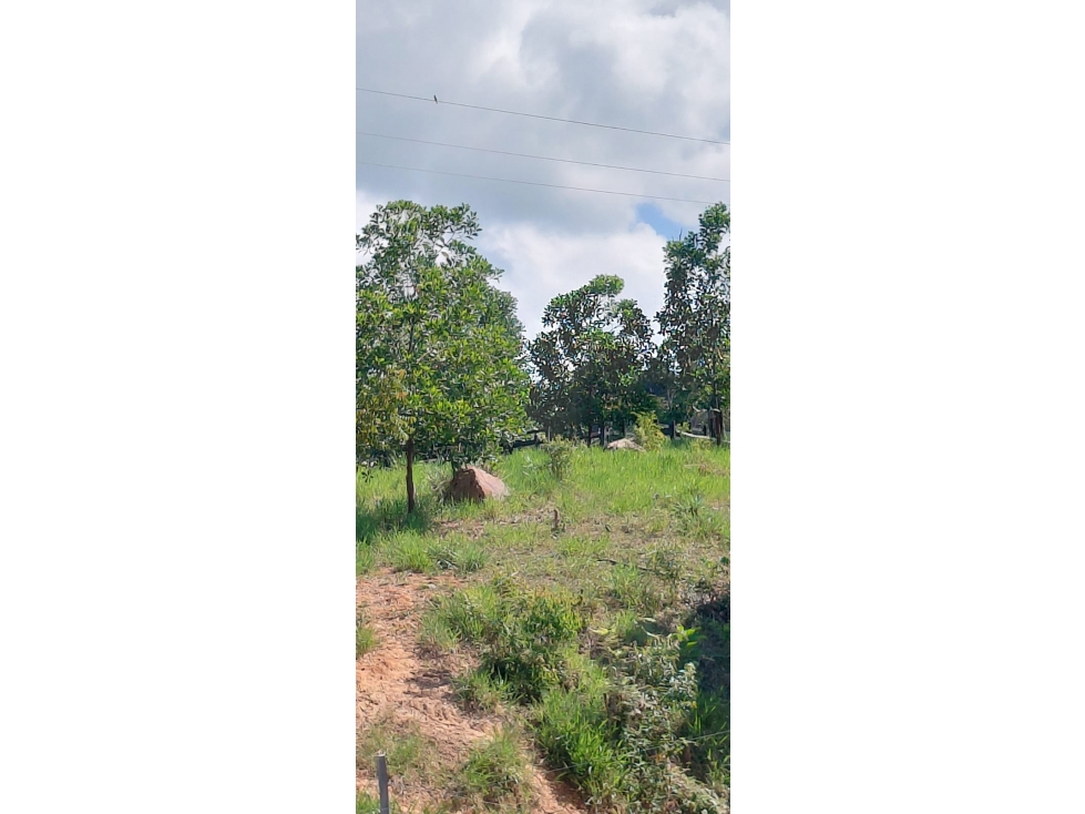 VENDO FINCA EN SAN VICENTE DE CHUCURI - 6