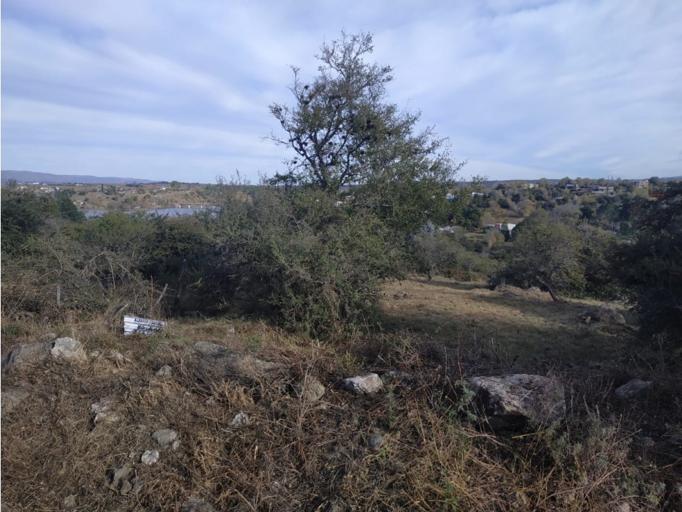 Lote Los Espinillos - 1