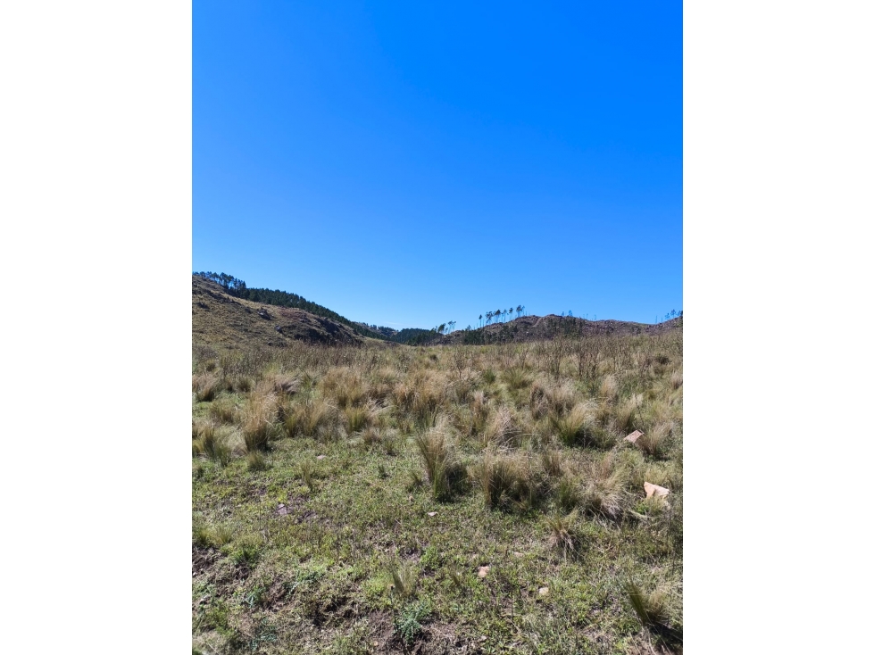Campo Río de Los Sauces - 2