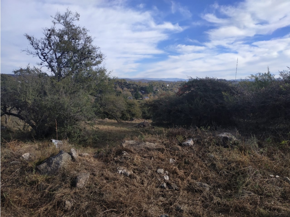 Lote Los Espinillos - 2