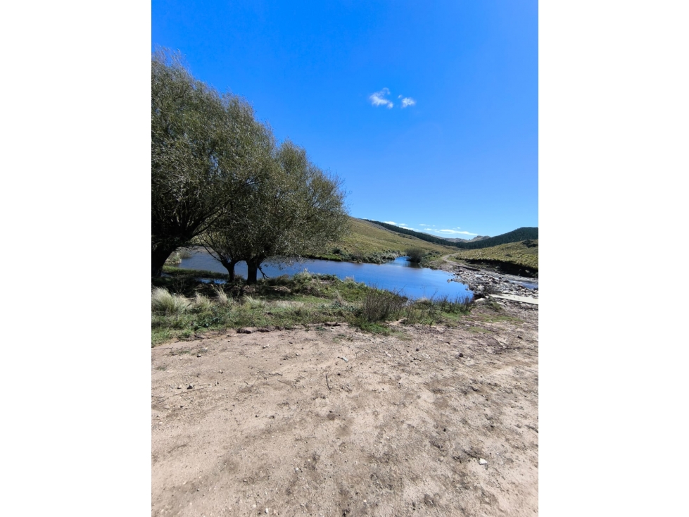 Campo Río de Los Sauces - 3