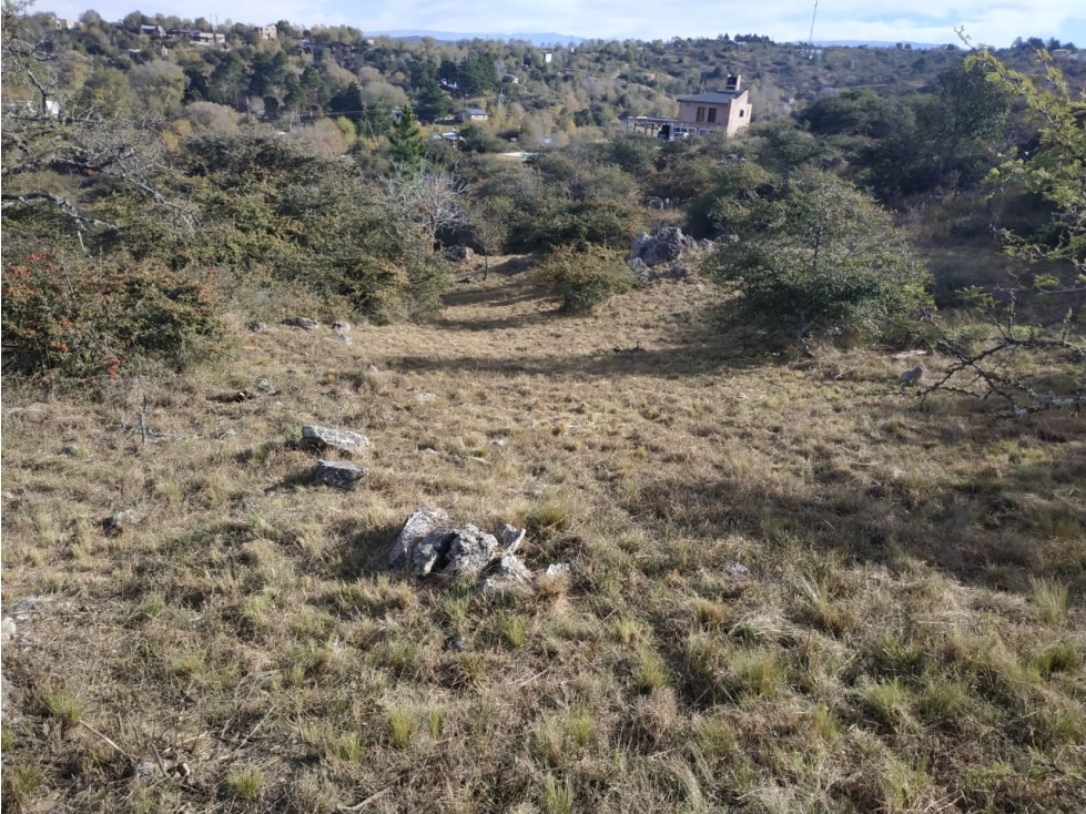 Lote Los Espinillos - 3