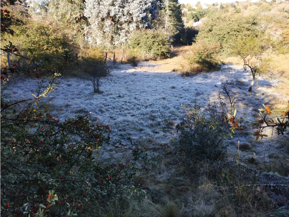 Lote Los Espinillos - 4