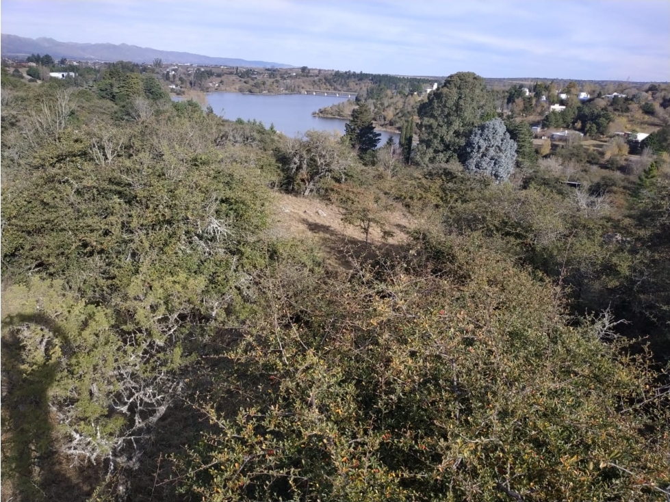 Lote Los Espinillos - 5