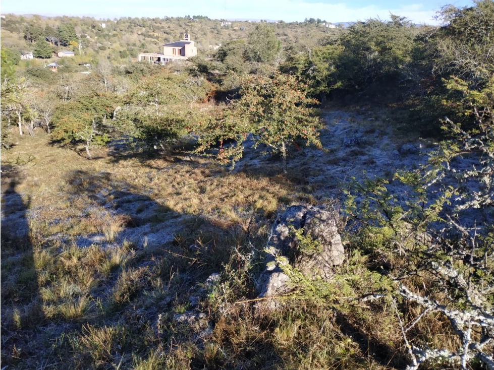 Lote Los Espinillos - 6