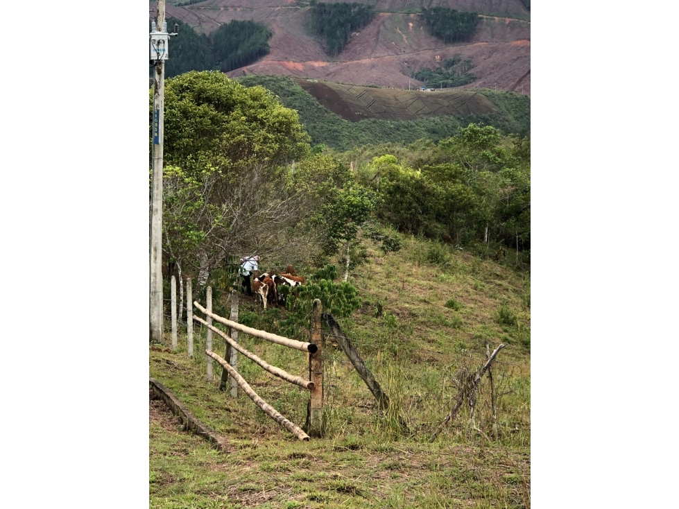 Vendo Lote Vereda El Carmen, Dagua HATOCHICO Parcelación ALG 8011253 - 1