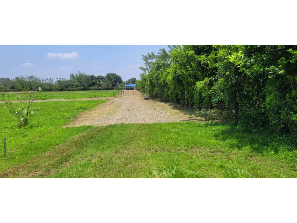LOTE CAMPESTRE #24 # 17 VIA SANTANDER DE Q ALG 7198456 - 2