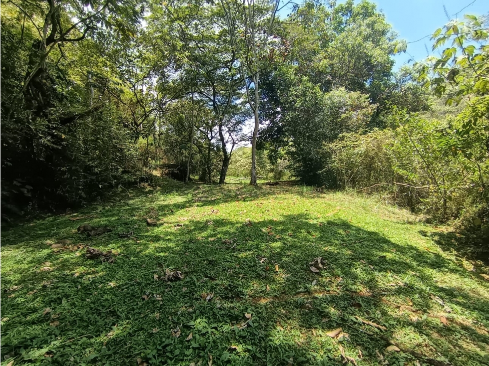 LOTE CAMPESTRE LA REFORMA/BUITRERA DE 1.500 mtr2 ALG 9475649