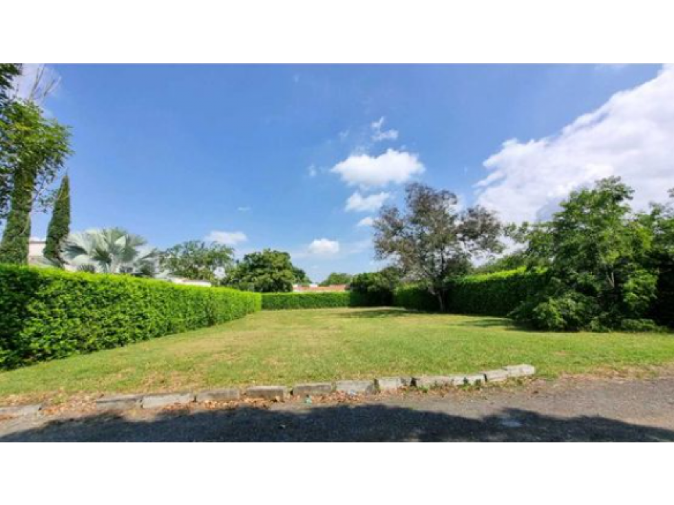 Venta lote condominio campestre guacari W10303797 XI - 1