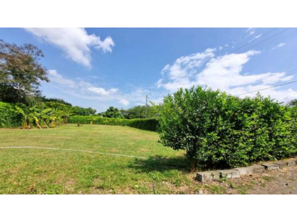 Venta de lotes campestres en condominio Guacari W10311187 XI - 1