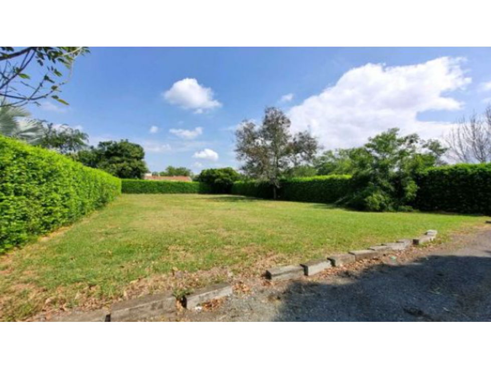 Venta lote condominio campestre guacari W10303797 XI - 2