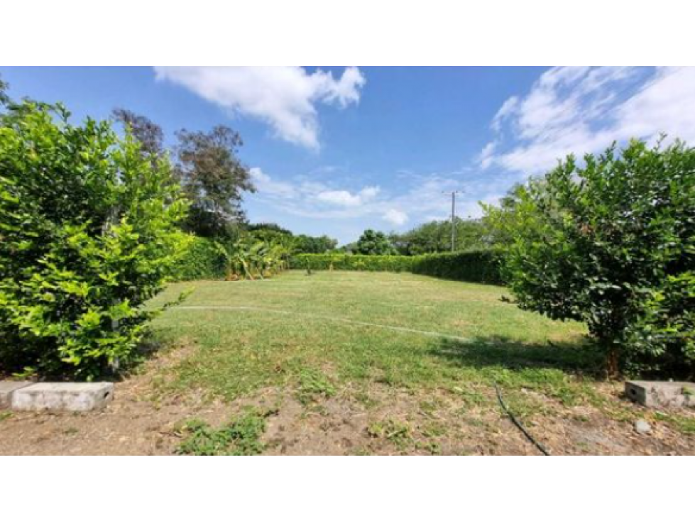 Venta de lotes campestres en condominio Guacari W10311187 XI - 2
