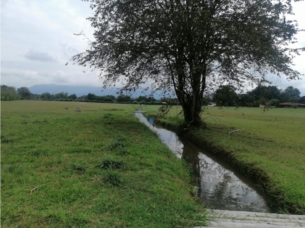 LOTE CAMPESTRE #24 # 17 VIA SANTANDER DE Q ALG 7198456 - 3