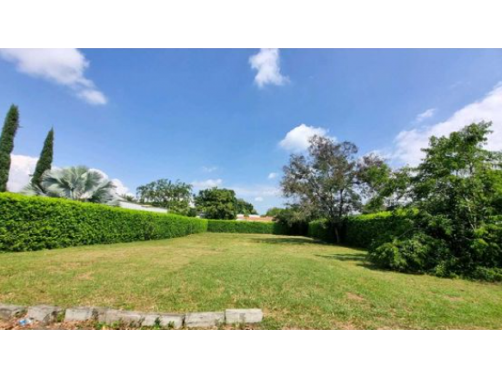 Venta lote condominio campestre guacari W10303797 XI - 3