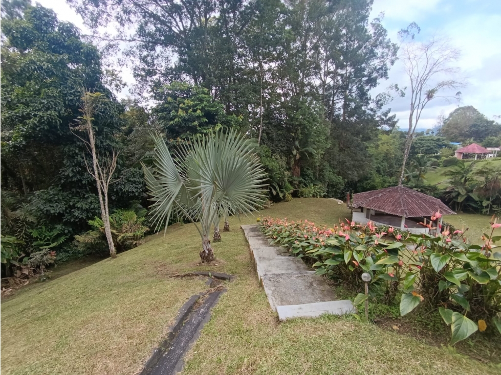 VENTA FINCA KILOMETRO 26 LY9774328 — foto 2