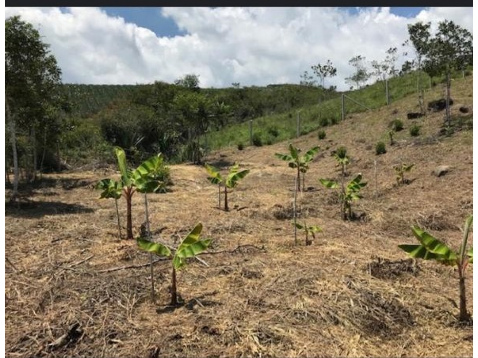 Vendo Lote Vereda El Carmen, Dagua HATOCHICO Parcelación ALG 8011253 — foto 3