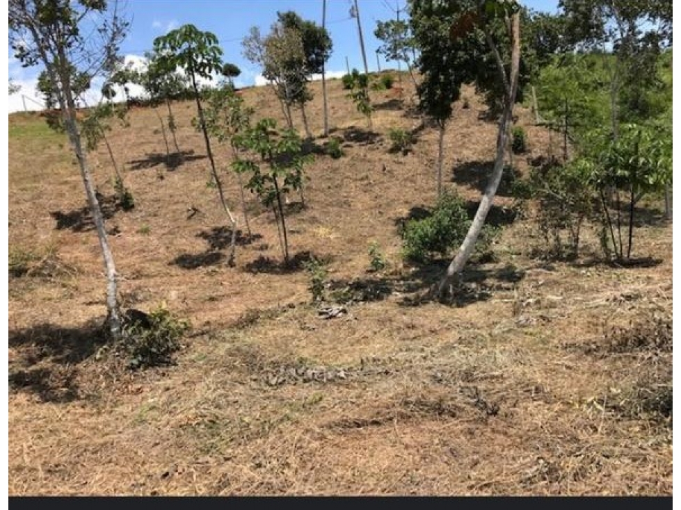 Vendo Lote Vereda El Carmen, Dagua HATOCHICO Parcelación ALG 8011253 - 3