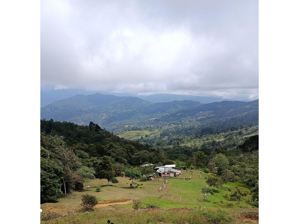 VENTA LOTE ESQUINERO, ALTOS DE LA ELVIRA, CALI LY10375504 - 5