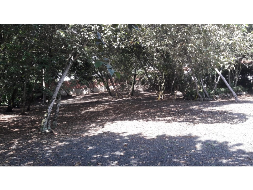 Vendo Lote - Barrio Pance - YP - AG - 9955473
