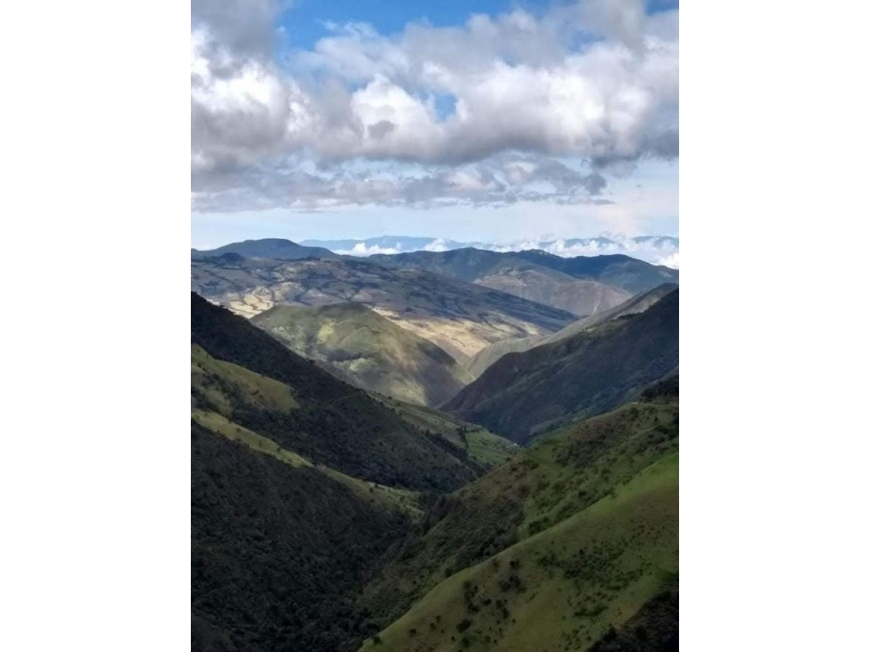 Se Vende Finca Ganadera, turismo o Bonos de Carbono - 2