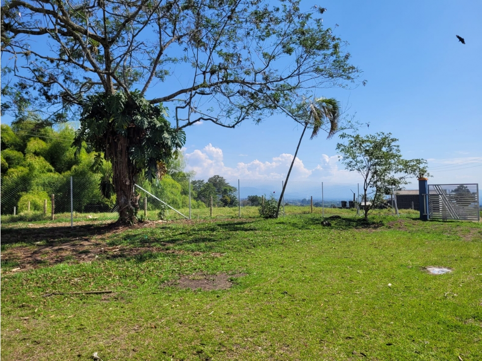 Casa campestre en alquiler a 25 minutos de armenia vereda naranjal - 5