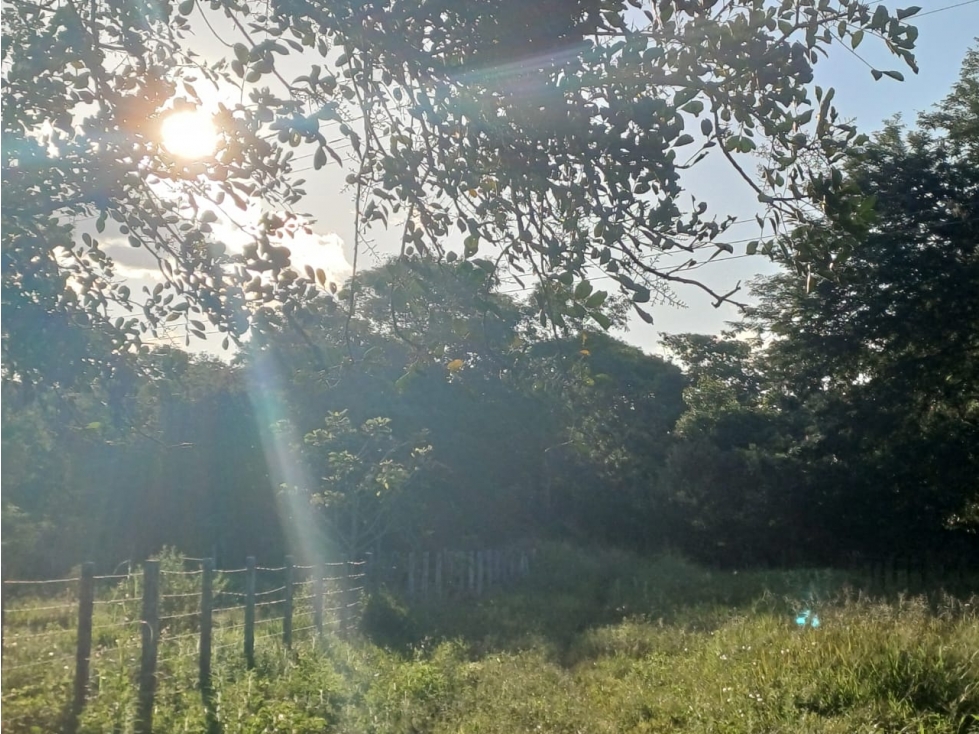 SE VENDE LOTE CAMPESTRE VIA MATEPANTANO A SIRIVANA