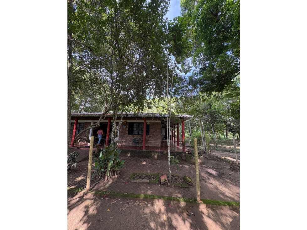 SE VENDE FINCA LOS NARANJITOS - VEREDA PUNTO NUEVO - 1