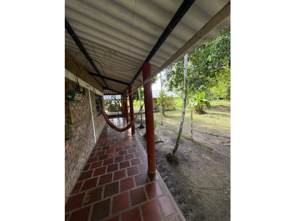 SE VENDE FINCA LOS NARANJITOS - VEREDA PUNTO NUEVO - 3