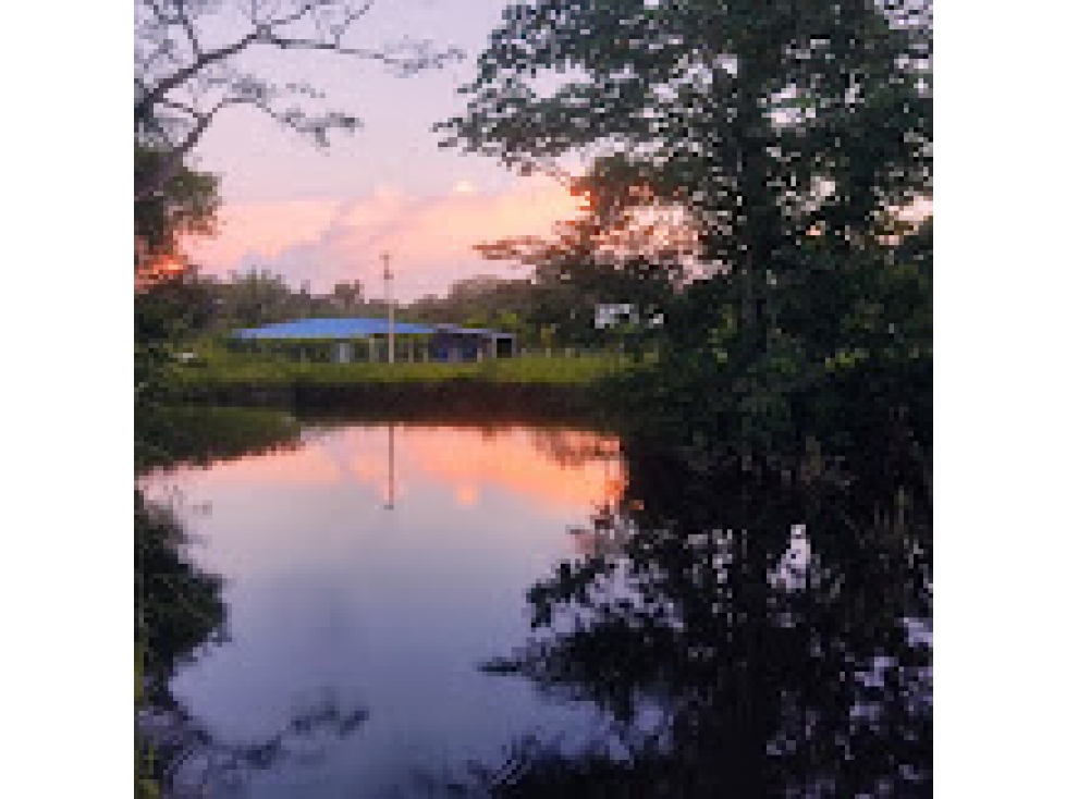 SE VENDE O SE PERMUTA LOTE EN CONDOMINIO CAMPESTRE LAS ORQUIDEAS - 2