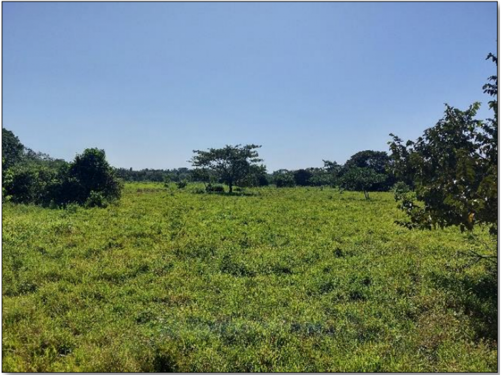 SE VENDE ESPECTACULAR FINCA EN AGUAZUL CASANARE - 5