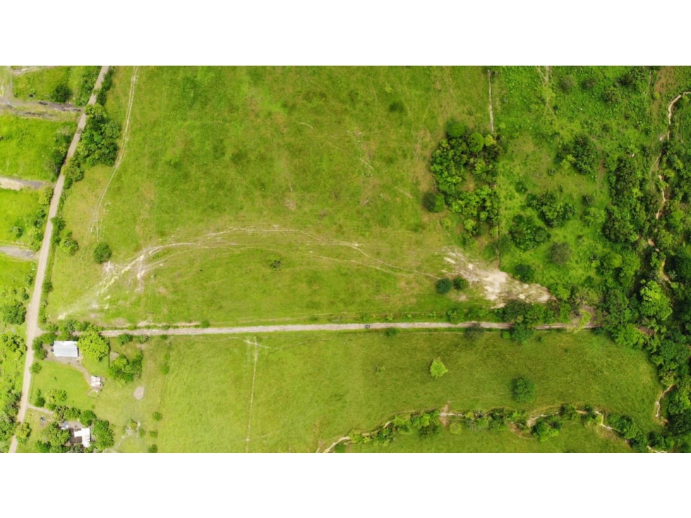 SE VENDEN LOTES EN LA YOPALOSA CASANARE - 2