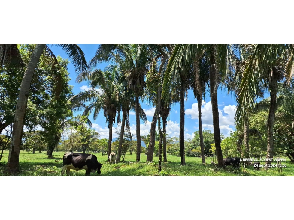 SE VENDE ESPECTACULAR LOTE UBICADO EN LA VEREDA EL PICÓN - 2