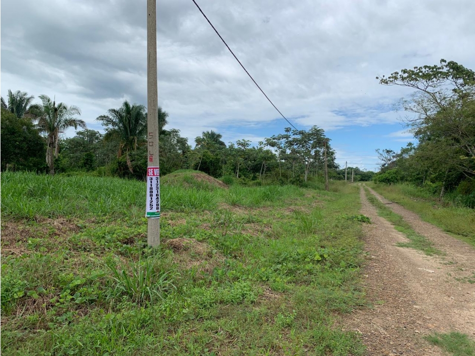 SE VENDE ESPECTACULAR LOTE EN CONDOMINIO CAMPESTRE VILLAS DEL PALMAR — foto 3