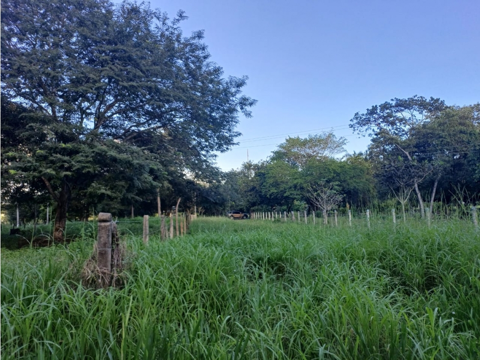 SE VENDE LOTE CAMPESTRE VIA MATEPANTANO A SIRIVANA — foto 2