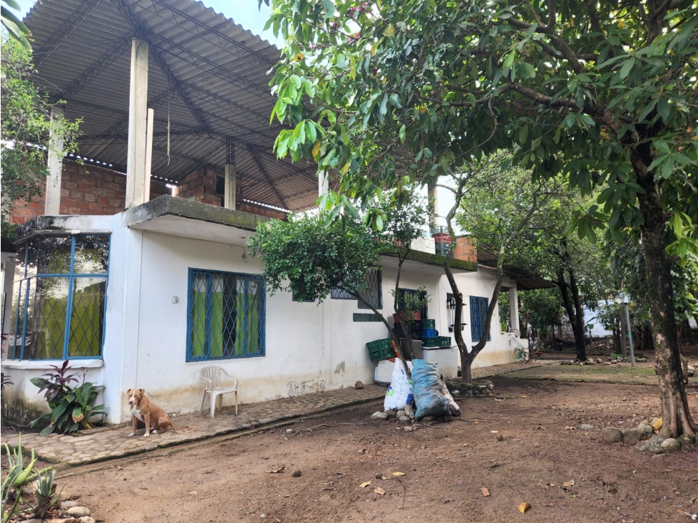 SE VENDE CASA LOTE DE 518 M2 EN BARRIO LAS PALMERAS YOPAL - 3